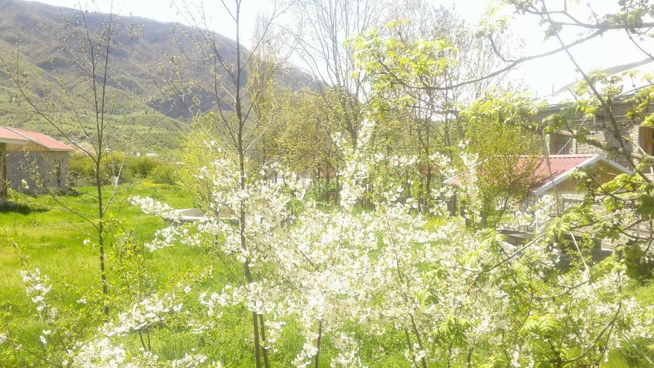 Отель Karvansaray Lahic Экстерьер фото
